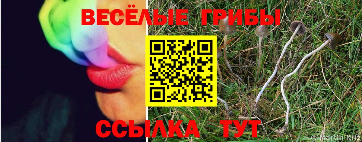 Ахтубинск  Галлюциногенные грибы MAGIC MUSHROOMS  Вход с VPN  Галлюциногенные грибы Magic Shrooms 