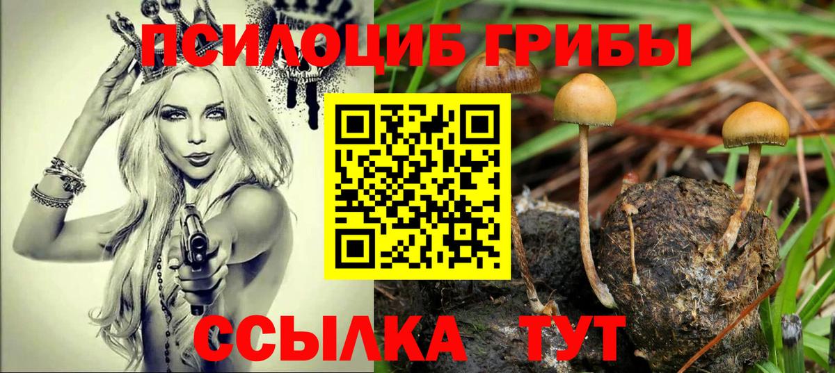 Псилоцибиновые грибы прущие грибы Ахтубинск